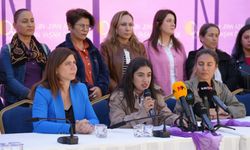 Eşbaşkan Bucak, 25 Kasım açıklamasına katıldı