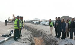 Eşbaşkanlar, ağaç dikimi ve yol çalışmalarını yerinde inceledi