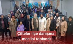 Çifteler ilçe danışma meclisi toplandı