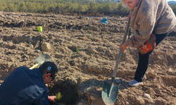 Yangının İzlerini Silmek İçin Engelli Bireylerden Seyitgazi’de Fidan Dikimi