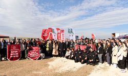 6 bin fidan doğayla buluştu