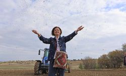 5 Bin Yıllık Emeğin İzinde: Kavılca Buğdayı Eskişehir’de Yeniden Filizleniyor