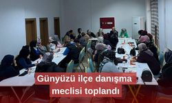 Günyüzü ilçe danışma meclisi toplandı