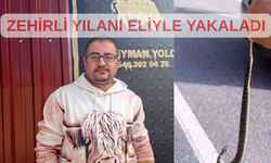 Yolda gördüğü zehirli yılanı elleriyle yakaladı