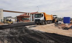 Hayvan Barınağı'nda sona yaklaşılıyor