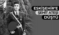 Üsteğmen Emre Mercan Şehit Oldu