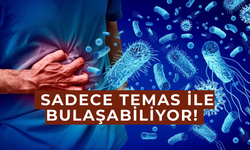 Kışın Gelen Sinsi Tehlike: Norovirüs