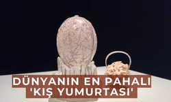 Rekor Fiyatla Yeniden Satışta