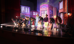 Karagöz Kukla ve Gölge Oyunları’na renkli açılış