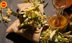 Bakan Yumaklı: Yenice Ihlamur Balı AB’den Tescil Alan 43. Ürün