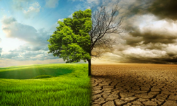 İklim değişikliği artık sadece çevresel değil, toplumsal bir dönüşüm meselesi