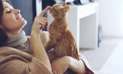 Kediniz Sürekli Yanınızda mı? İşte Bunu Yapmasının Anlamı