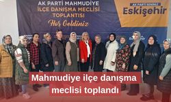 Mahmudiye ilçe danışma meclisi toplandı