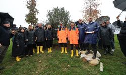 DİKİLEN FİDANLAR TOPRAKLA BULUŞTU