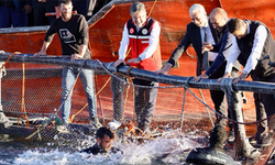 “Su ürünleri yetiştiriciliğinde Avrupa'da 2. dünyada da 17. sıradayız”