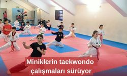 Miniklerin taekwondo çalışmaları sürüyor