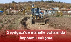 Seyitgazi’de mahalle yollarında kapsamlı çalışma