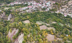 Tarım-ÜFE yıllık yüzde 45,40 arttı