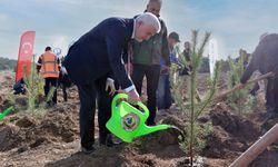 TEI’den 17 Bin Fidanlık 40. Yıl Hatıra Ormanı