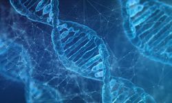 Son teknoloji DNA aracı geliştirildi!