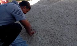 Büyükşehir tohumdan çuvala yerli üretim yaptı