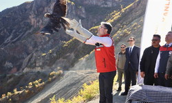 Bakan Yumaklı, Tunceli'de tedavisi tamamlanan yaralı yaban hayvanlarını doğaya saldı
