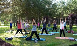 1. yıl için özel programlar ve aktiviteler planlanıyor