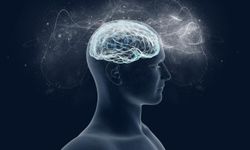Bilinç Gizemi: İnsan Zihninin Nasıl Ortaya Çıktığına Dair Yeni Teoriler