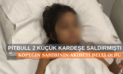 Ankara'da Dehşet Veren Pitbull Saldırısı! İki Kardeş Yaralandı, Köpeğin Sahibi Tutuklandı