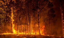 Avustralya'da felaket! Yangın kontrolden çıktı