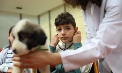 Minikler veterinerliği deneyimledi