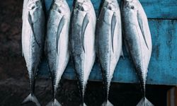 Doğru bilinen yanlışı uzmanı açıkladı: "Gözüne bakıp tazeliğini anlarım diyen yalan söyler"