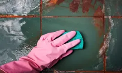 Evdeki malzemelerle pas temizlemenin 5 doğal yolu