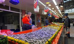 Yoğun ilgi gören hamsinin fiyatı düştü