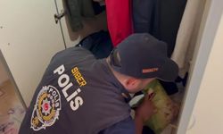 8 ilde siber dolandırıcılara operasyon: 14 tutuklama