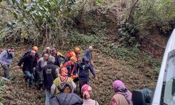 Ağaç kesimi kazası: Uçuruma düşen vatandaş yaralandı!