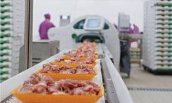 Son beş yılın üretim ve tüketim şampiyonu beyaz et