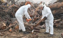 Budanan ağaç dalları ihtiyaç sahiplerini ısıtıyor