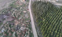 Bir yanda yeşillik diğer yanda çöplük