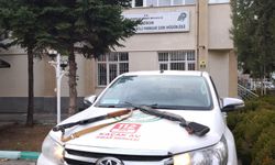 Erzincan’da yaban keçisini vuran 3 kişiye 975 bin TL ceza