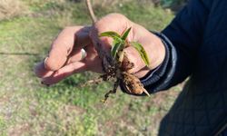 Salebin yeni başkenti Eskişehir mi oluyor? ESOGÜ’den devrim niteliğinde proje!