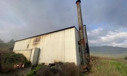 Bilecik’te korkutan yangın! Tavuk çiftliği alevlere teslim olmaktan son anda kurtuldu!