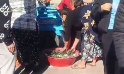 Bir mahalle birbirine girdi