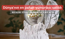 Dünyanın en pahalı yumurtası rekor fiyata satıldı