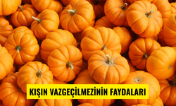 Kış hastalıklarına karşı balkabağı etkisi