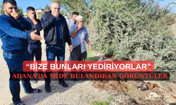 Adana'da iğrenç görüntüler! Dere kenarı atık mezarlığına döndü