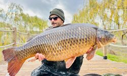 Dev balığı suya geri bıraktılar