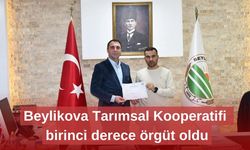 Beylikova Tarımsal Kooperatifi birinci derece örgüt oldu