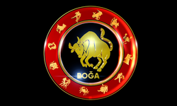 Yükselen Boğa: Finansal dengeler ve güven arayışı