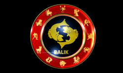 Yükselen balık: sosyal destek fırsatı!